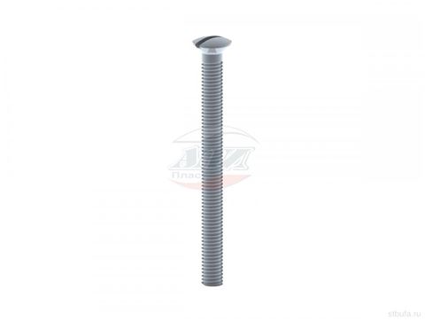 Винт для сифонов М6*70 М670 АНИ (50)